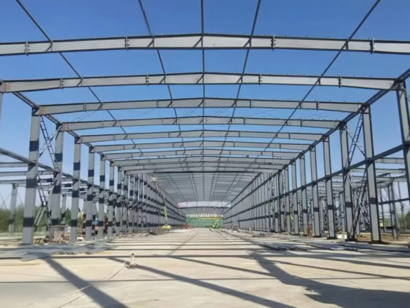 Light Steel Structure Building